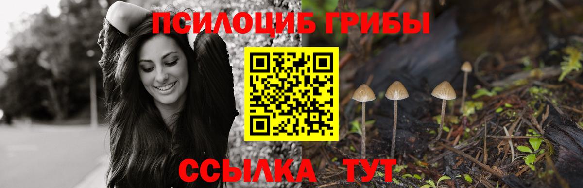 Псилоцибиновые грибы прущие грибы Невинномысск